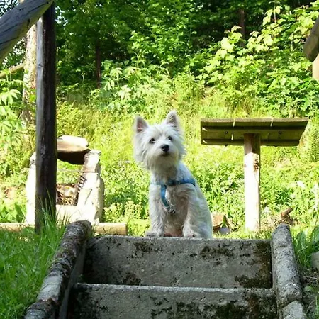 Marylka Homestay Piwniczna-Zdroj