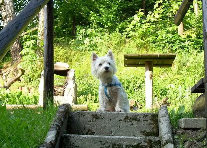 Marylka Alloggio in famiglia Piwniczna-Zdroj